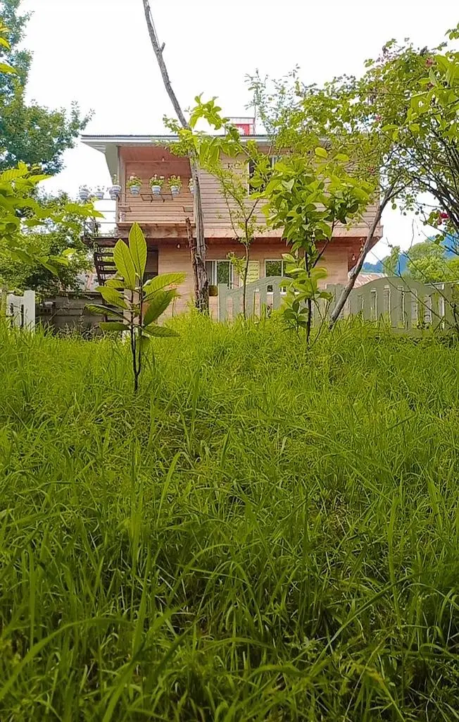 کلبه جنگلی شیروان چهار