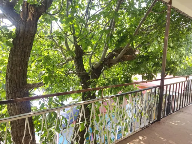 ویلایی تک خواب دانیال