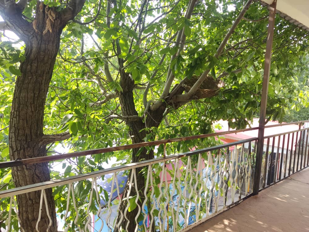 ویلایی تک خواب دانیال