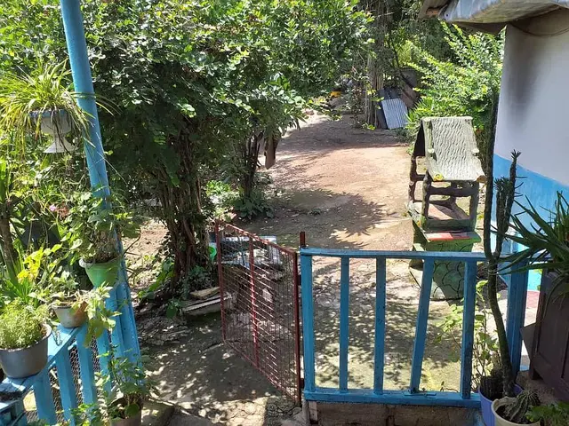 تک خوابه حلیمه جان