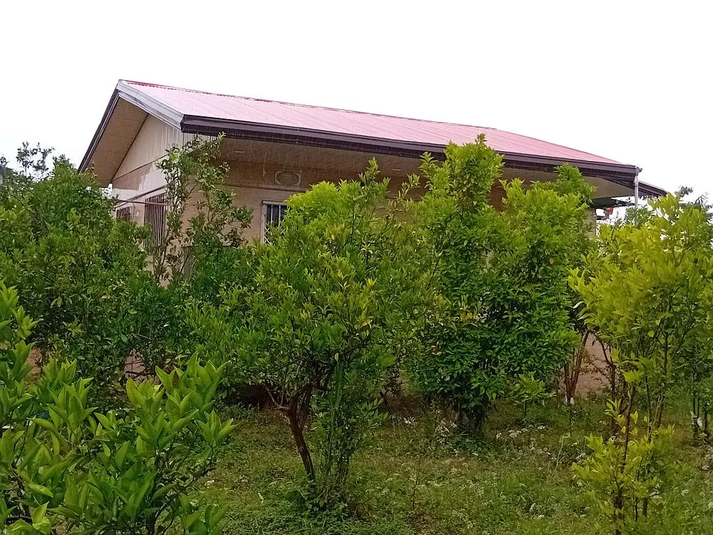 ویلای تک خوابه سرسبز